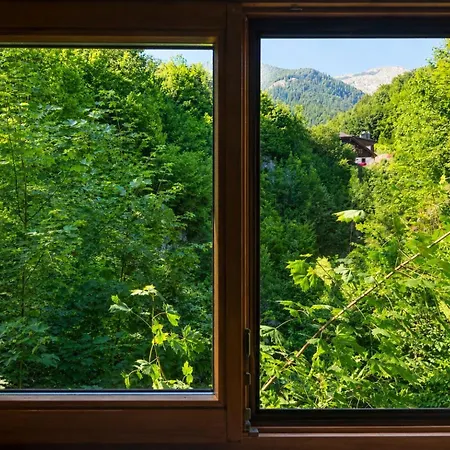 Aparthaus Dittelbach By Faraway Homes 公寓